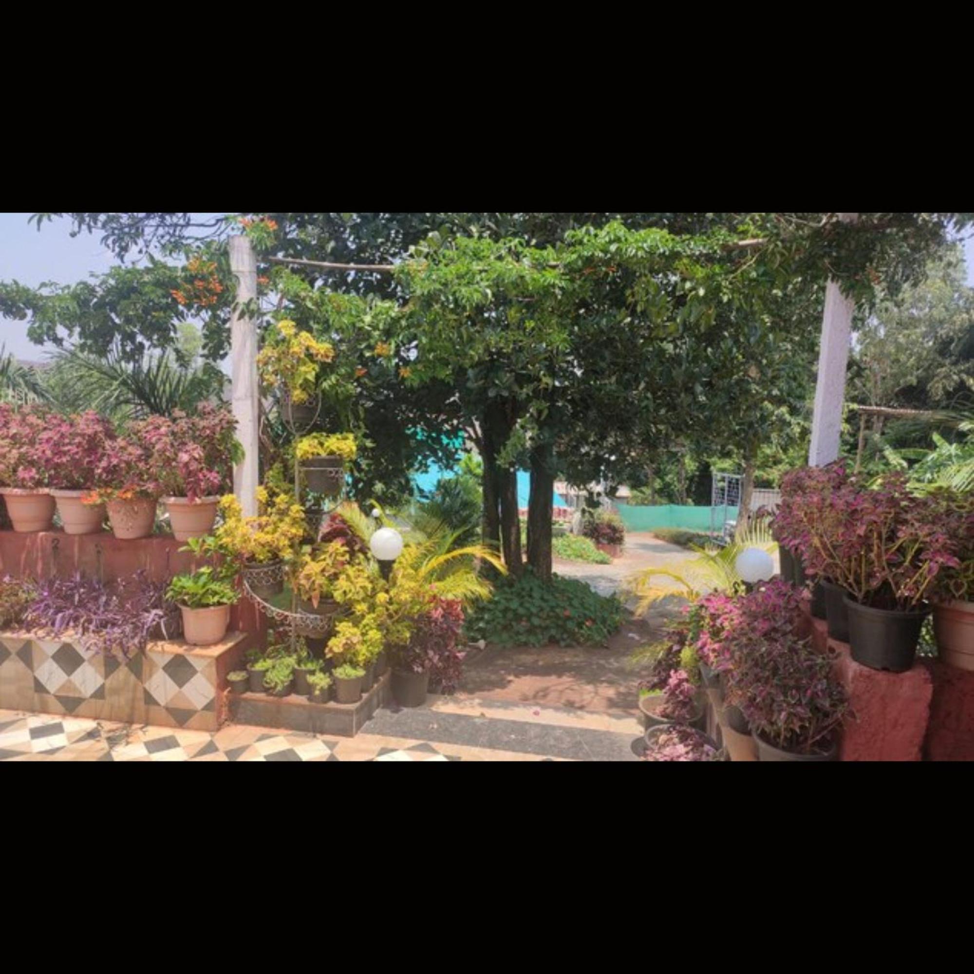 Strawberry County Hotel พันช์กานี ภายนอก รูปภาพ